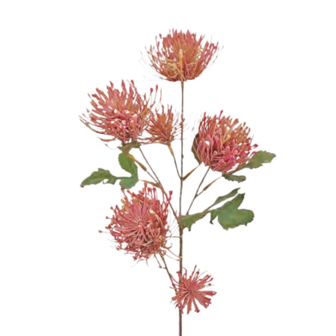 Spider Mum Spray: Pink