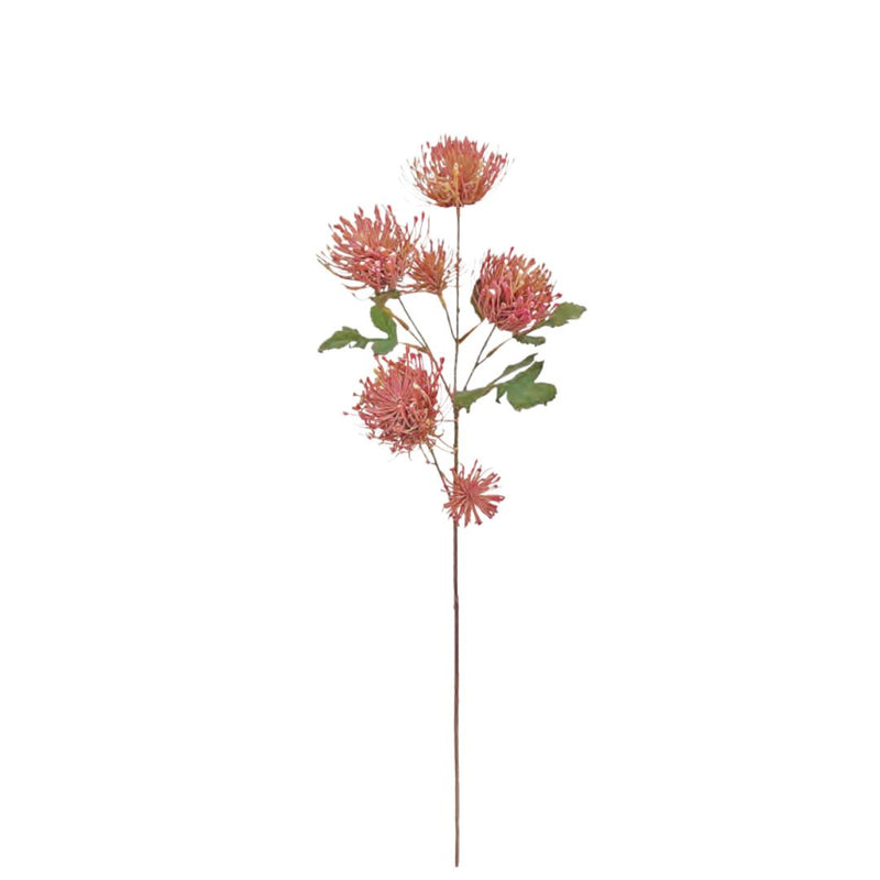Spider Mum Spray: Pink