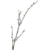 Pussy Willow Branch - 1.16m