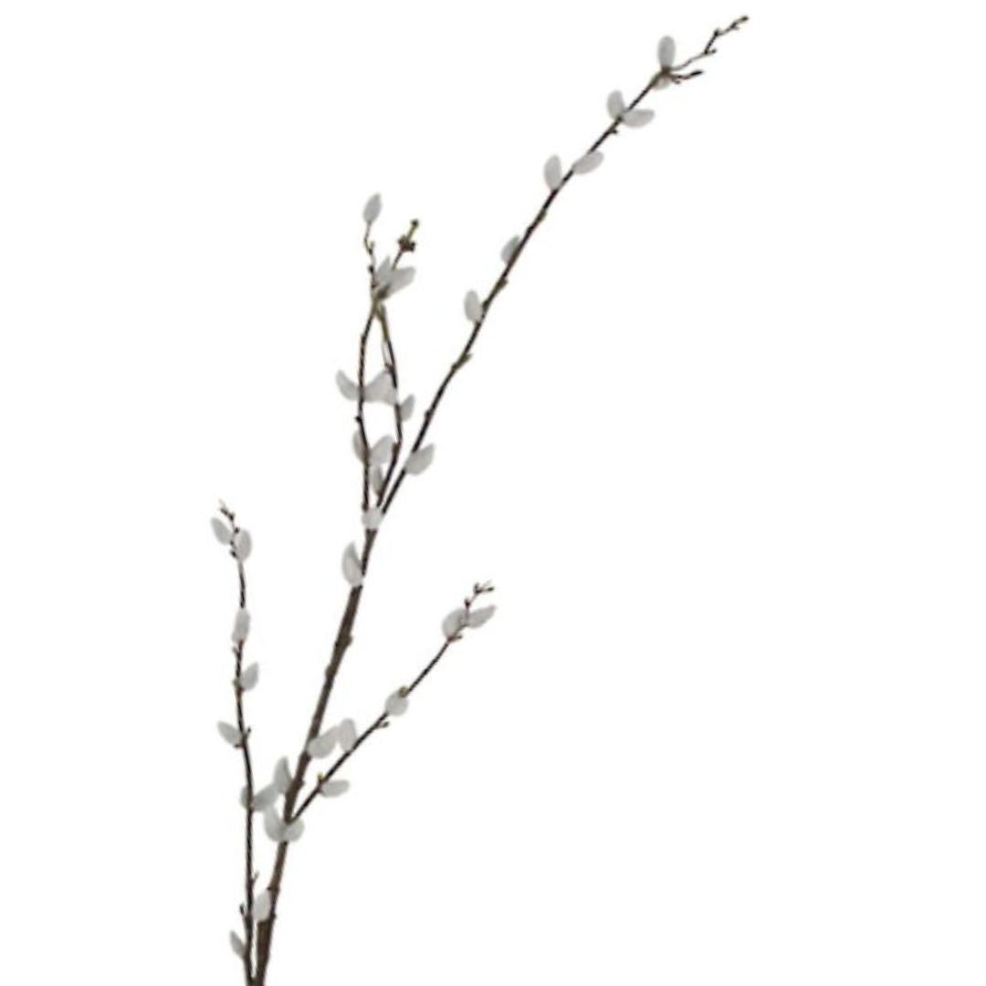 Pussy Willow Branch - 1.16m