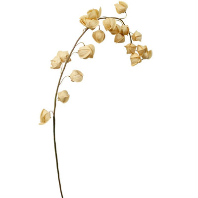 Chinese Lantern: Mustard - Long