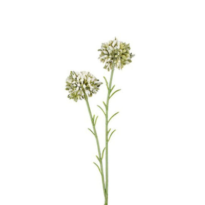 Mini Allium Spray: Cream - 46cm