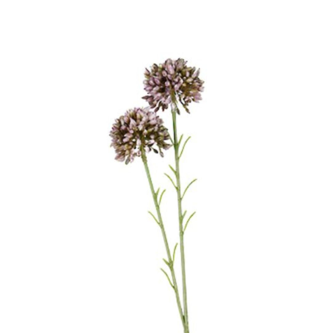Mini Allium Spray: Lavender - 46cm