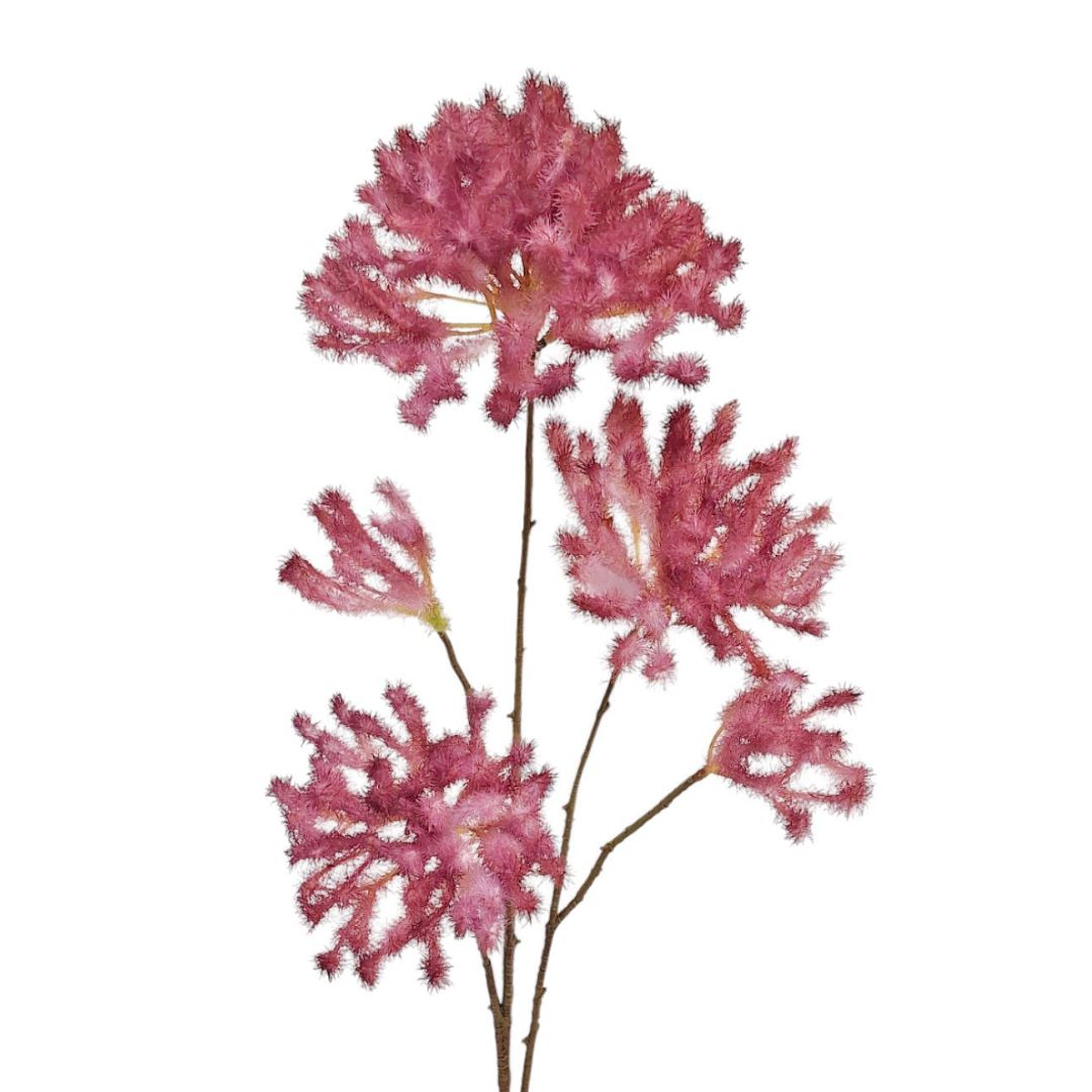 Smoke Tree  Spray - Burgundy