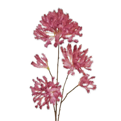Smoke Tree  Spray - Burgundy