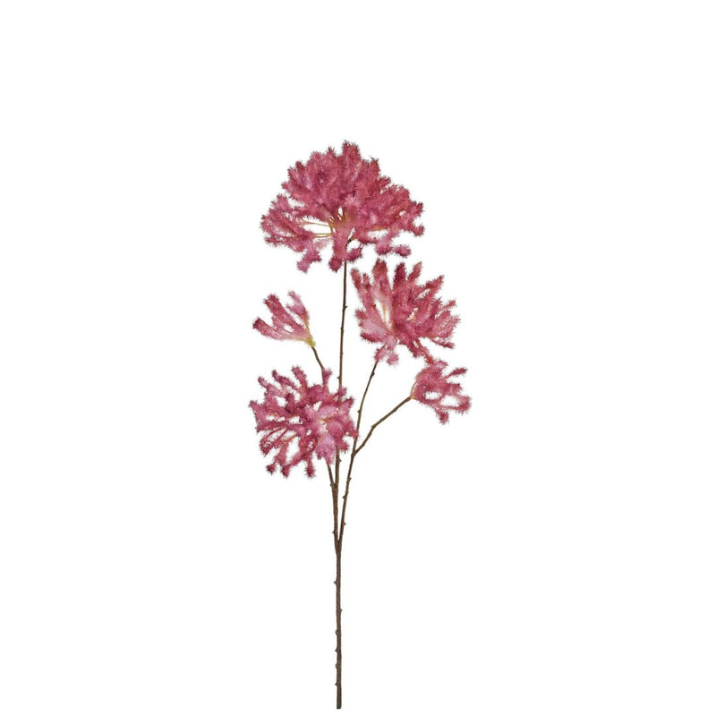 Smoke Tree  Spray - Burgundy