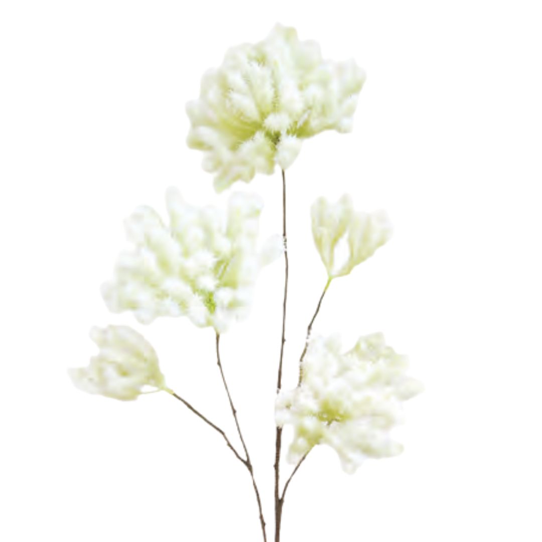 Smoke Tree  Spray: Green