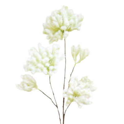 Smoke Tree  Spray: Green