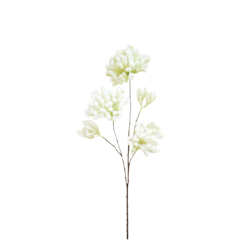 Smoke Tree  Spray: Green