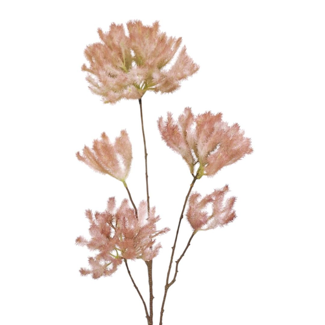 Smoke Tree Spray - Pink