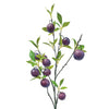 Tall Plum Branch - Wine
