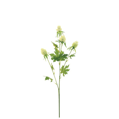 Tall Thistle: Green