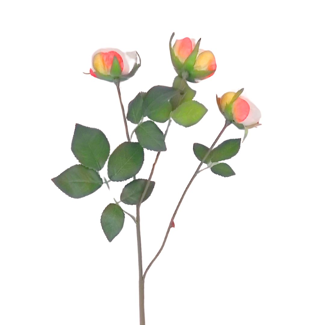 Vintage Rose: Pink