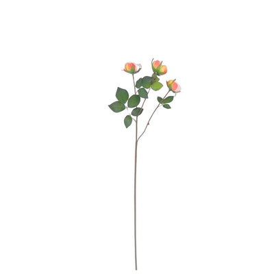 Vintage Rose: Pink