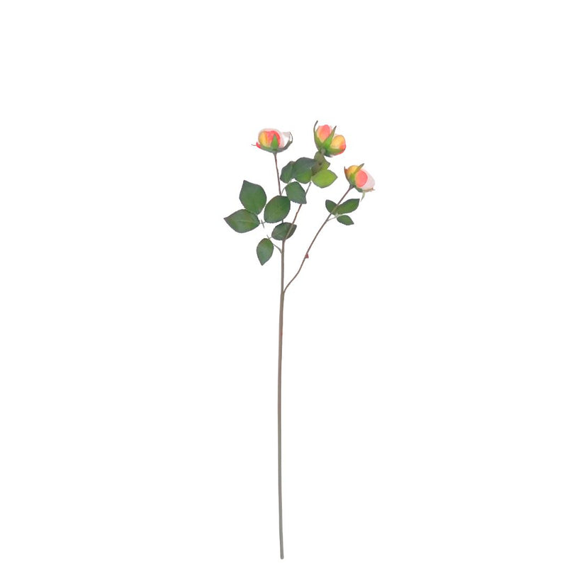 Vintage Rose: Pink