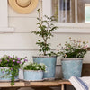 Sea Blue Plant Pot & Saucer - Medium
