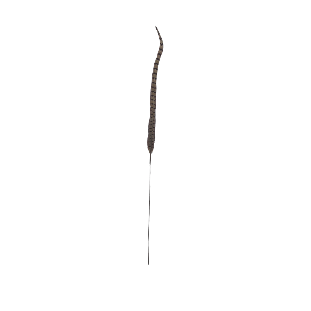 Tall Single Pheasant Feather Pick - Natural
