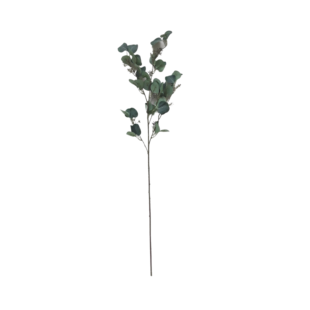 Tall Eucalyptus Branch with Seeds - Grey Green