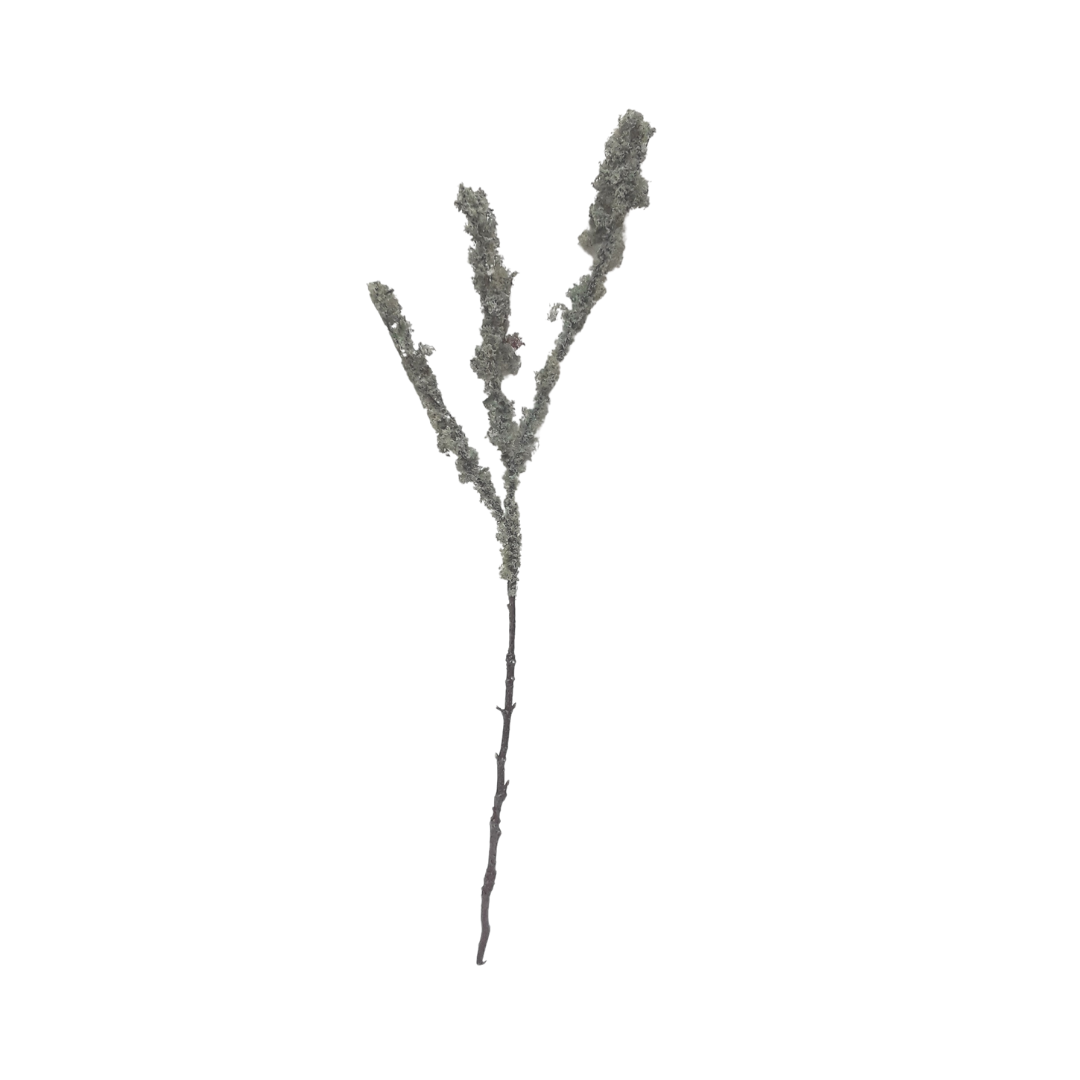 Lichen Branch - Grey/Brown