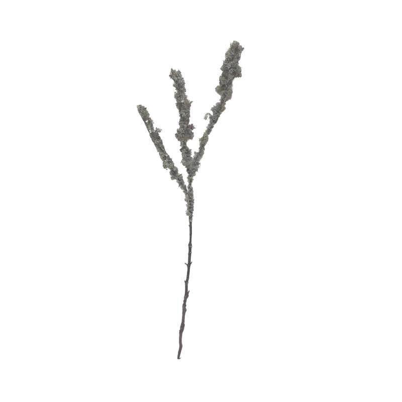 Lichen Branch - Grey/Brown