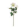 Winter Rose with Buds - Cream/Green