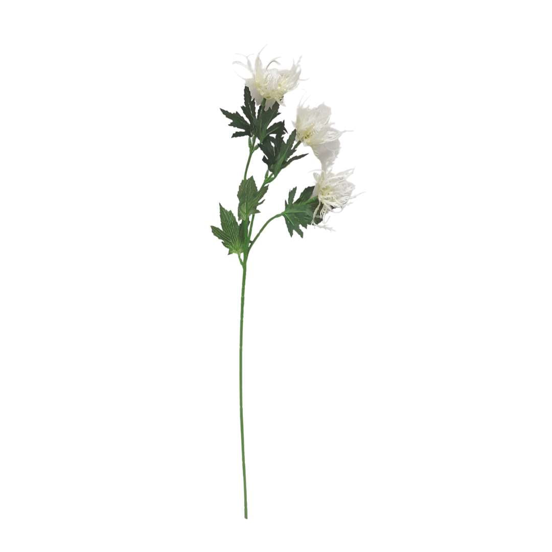 Alpine Thistle - Cream