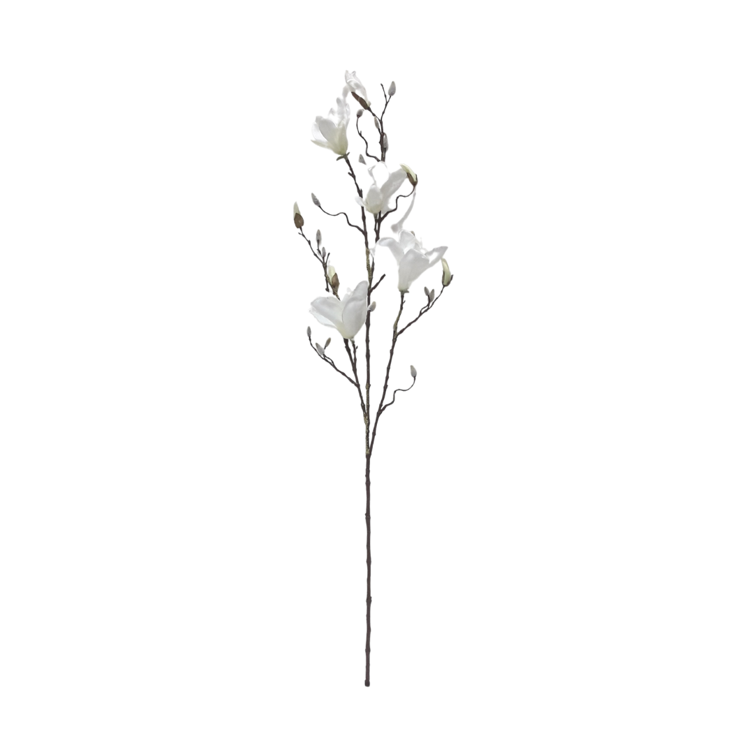 Spring Magnolia Giant - White