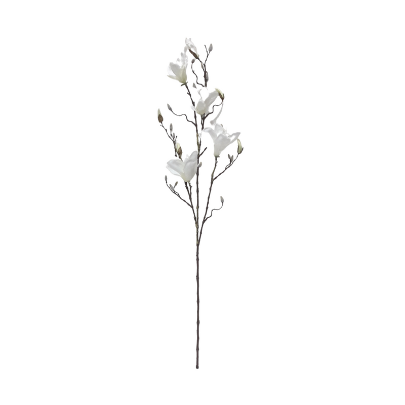 Spring Magnolia Giant - White