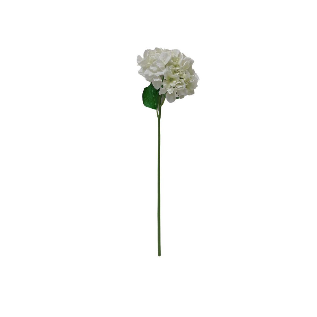Italian Hydrangea - White/Green