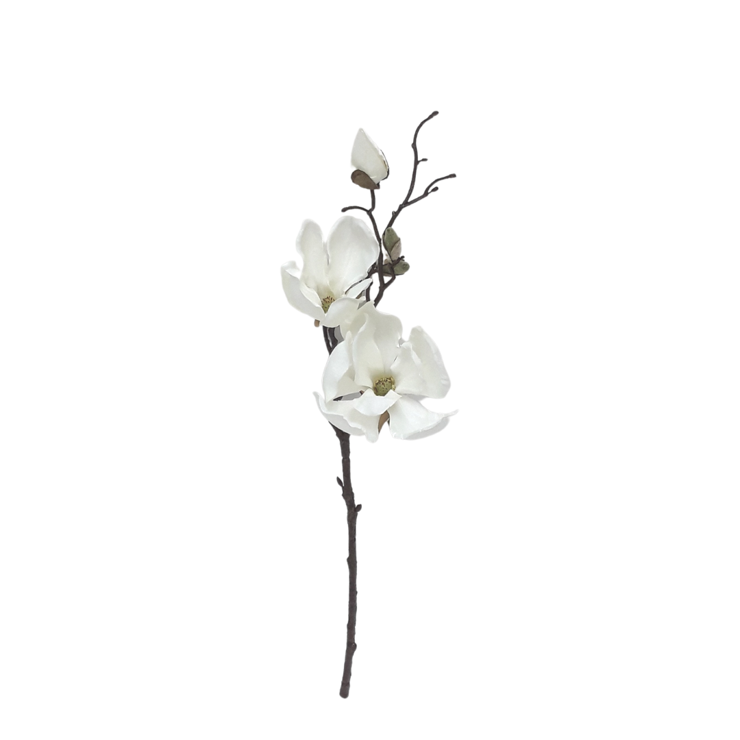 Spring Magnolia Cutting - White