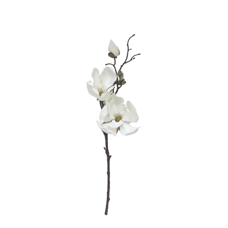 Spring Magnolia Cutting - White