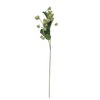 Tall Hop Flower - Green