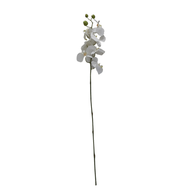 Orchid Spray - White