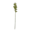 Large Moth Natural Touch Orchid - Green
