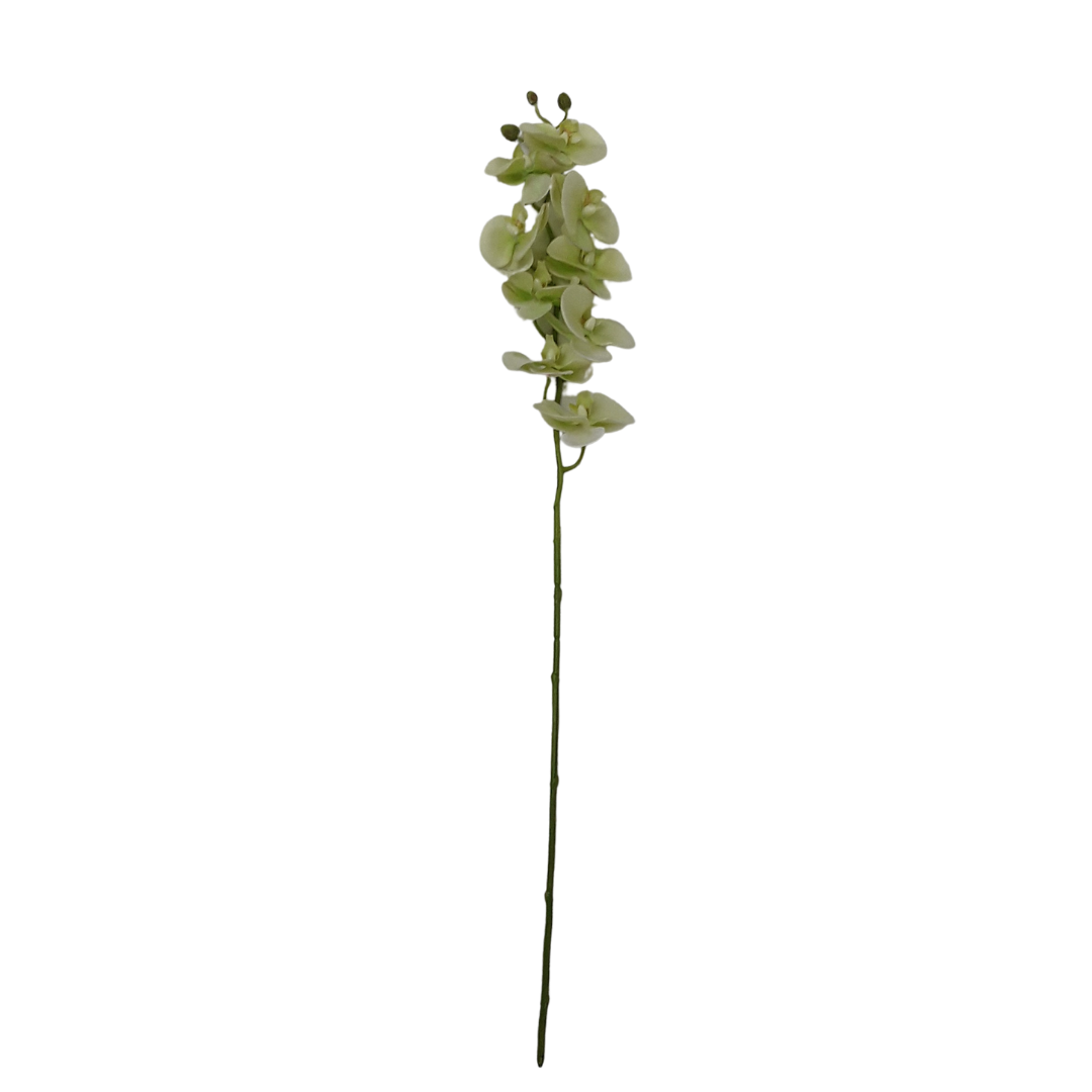 Large Moth Natural Touch Orchid - Green