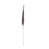 Small Single Pheasant Feather Pick - Natural