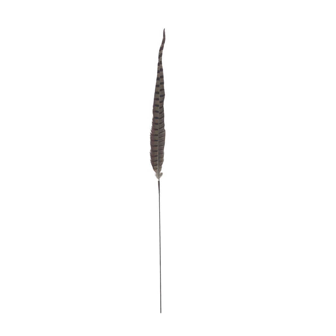Small Single Pheasant Feather Pick - Natural