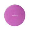 Allium - Premium Chalk Paint 1 Litre