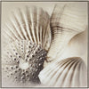 Shells I Canvas with Natural White wash Frame - 800x800