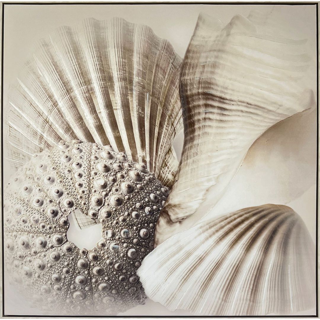 Shells I Canvas with Natural White wash Frame - 800x800